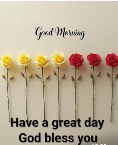 Need female for activity in mall