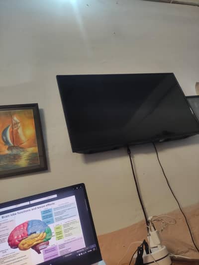 Lonely TV Seeks New Home – Excellent Condition