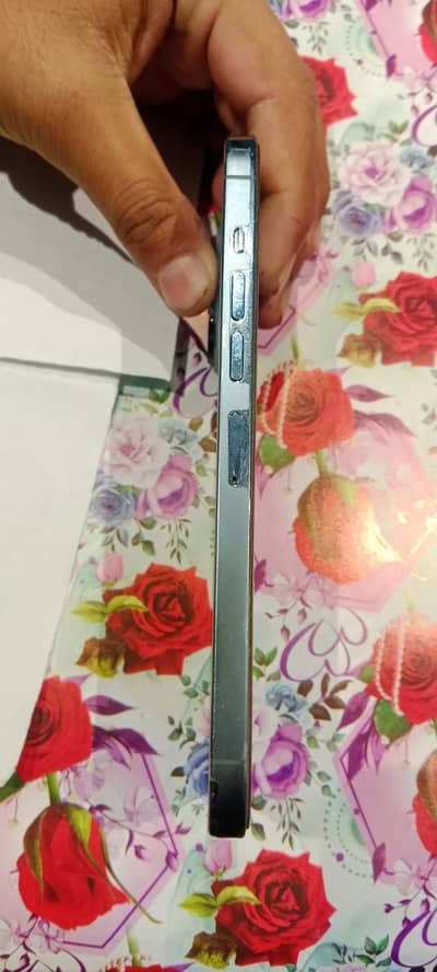 iPhone 13 Pro Max JV