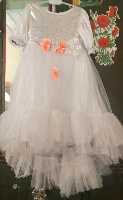 Net long and short frock