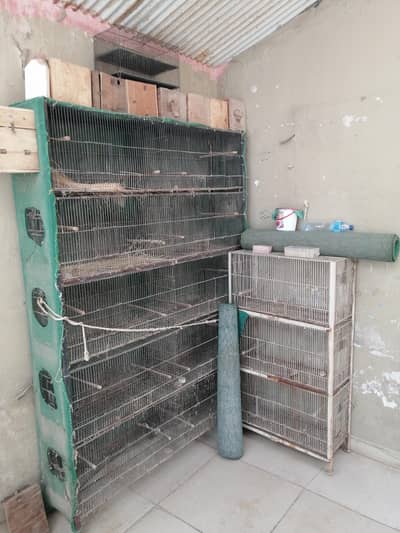 cages 2 tips 3+1 or 10+1