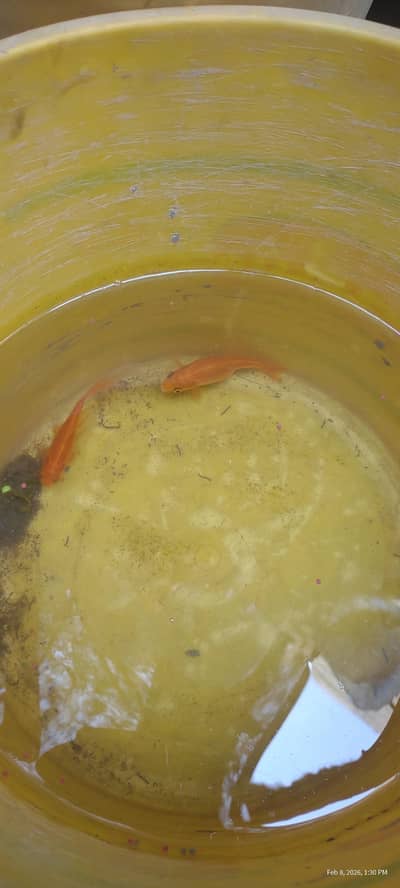 customer demand price pair