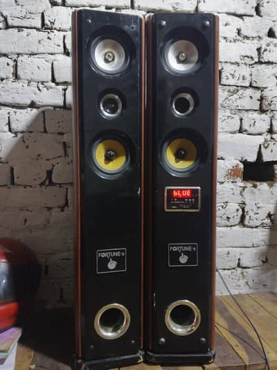 fortune. s pair woofers