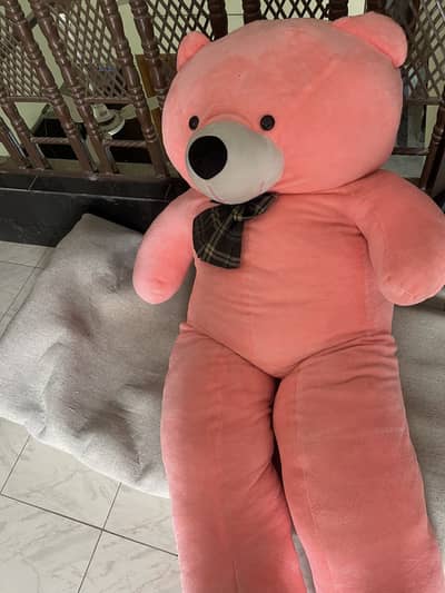 Pink Teddy