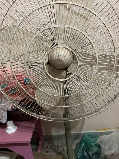Stand Fan for Sale