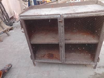 pigeon and hen chicks  cage 2.5 feet  for sale