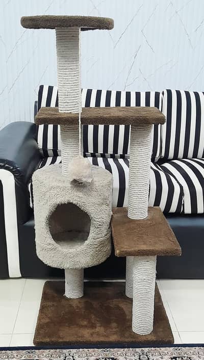 CAT TREE & SCRATCHER FOR SALE