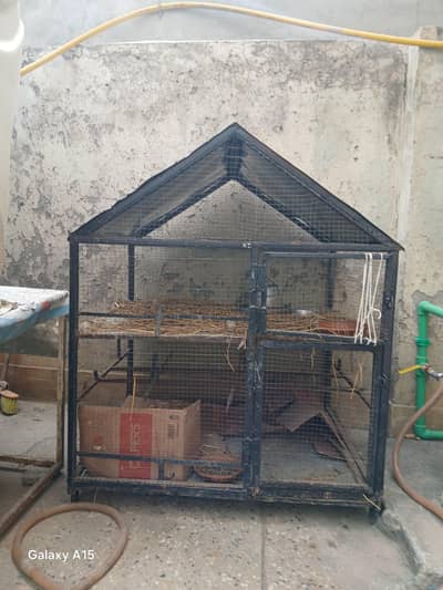 Big Parrot Hen Iron Cage
