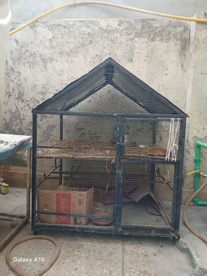 Big Parrot Iron Cage