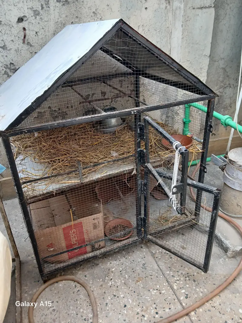 Big Parrot Iron Cage — photo 3