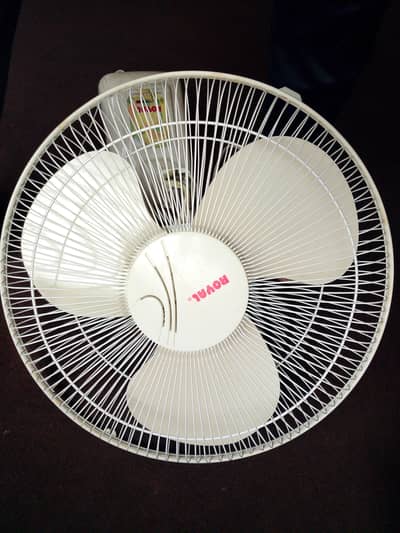 Royal Fan