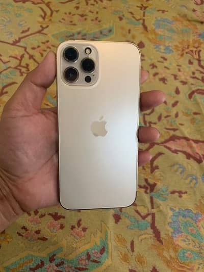 iPhone 12 pro max 86 health waterpack