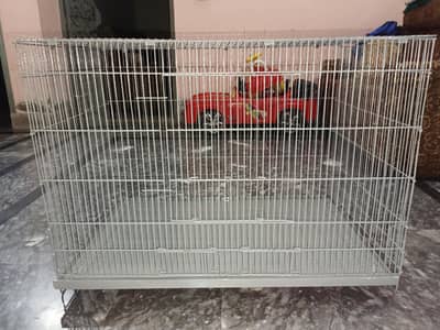 iron cage pingra 3/2 ft  good coordination