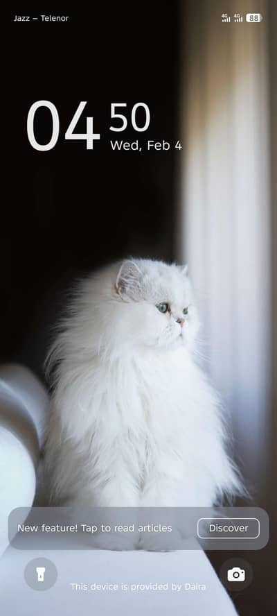 carwash home cleaning etc