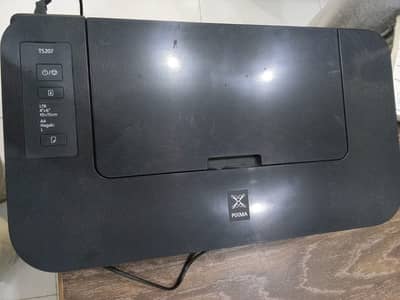Canon Pixma TS207 Printer