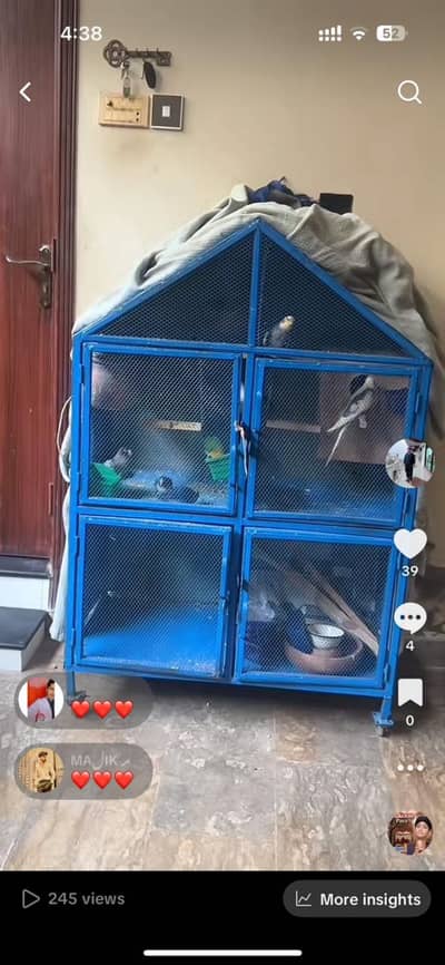 Birds cage