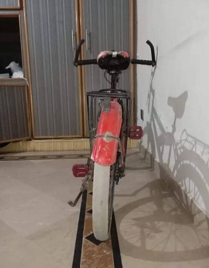 PHONIX CYCLE 1