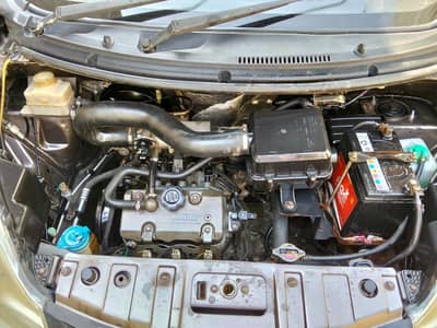 prince pearl 2020 B2B original