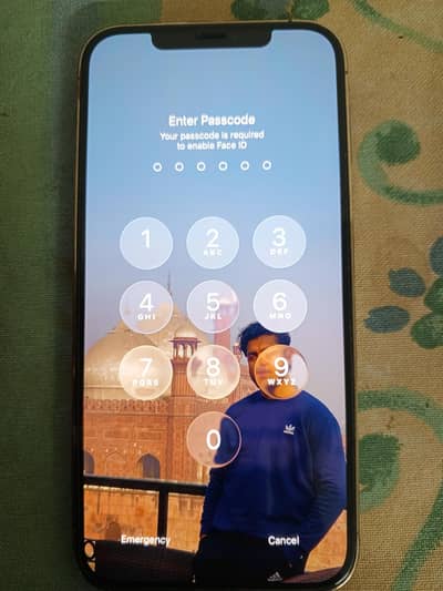 Iphone 12 pro max -128 gb factory unlocked(e-sim) | 93% battery health