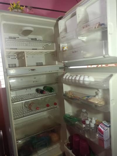 Super gold fridge