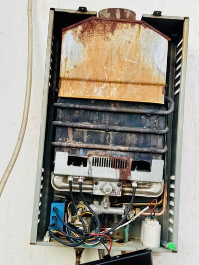 Instant Geyser 8 (Little)