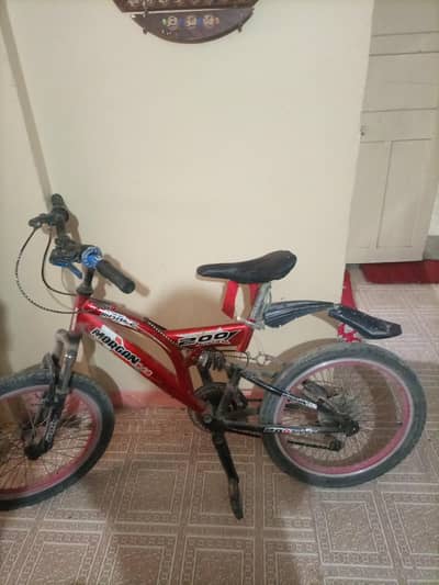 morgan gear bicycle with jumper in good condition