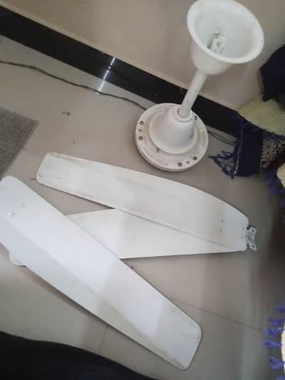 royal fan only 3 month used