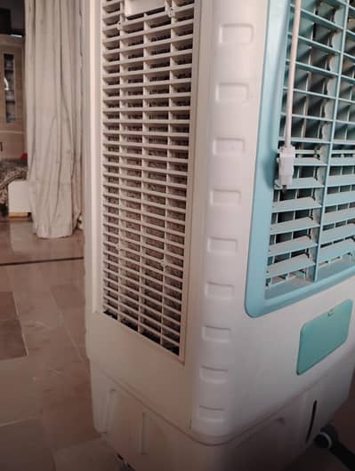 NAXE company hai  achi condition mei haii