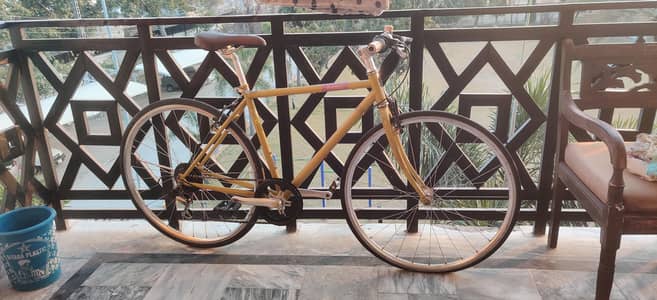 japanese momentum bicycle