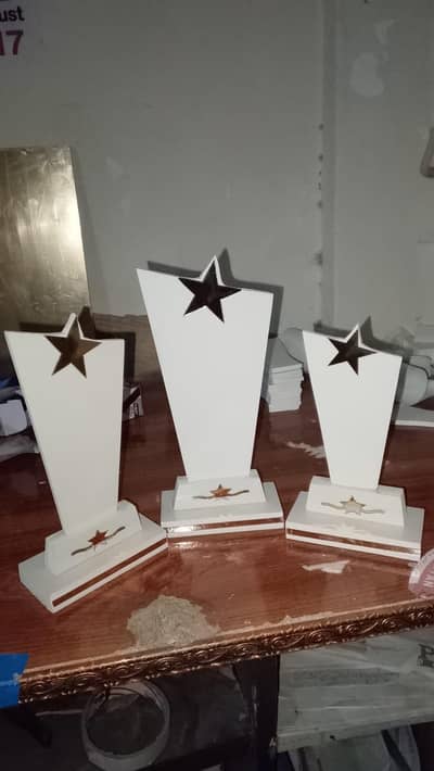 plastic shield award