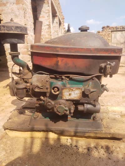 petar engain for sale