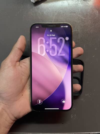 iPhone 12 Pro Max | HK Model | 256 GB | With Box