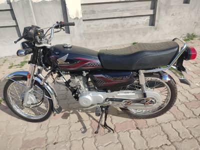 Honda 125 2024 model
