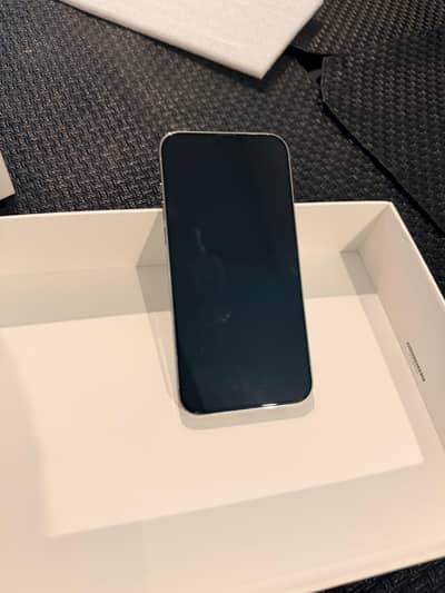 10/10 iphone 13 pro max