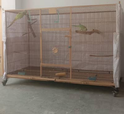 Iron cage for parrot