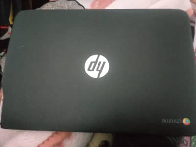 hp chromebook