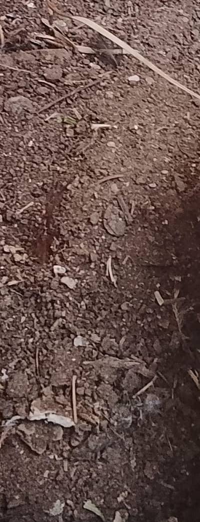 100% natural aur organic khad