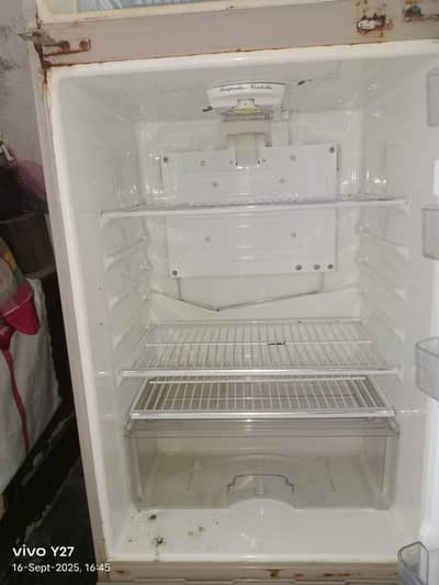Frige For Sale