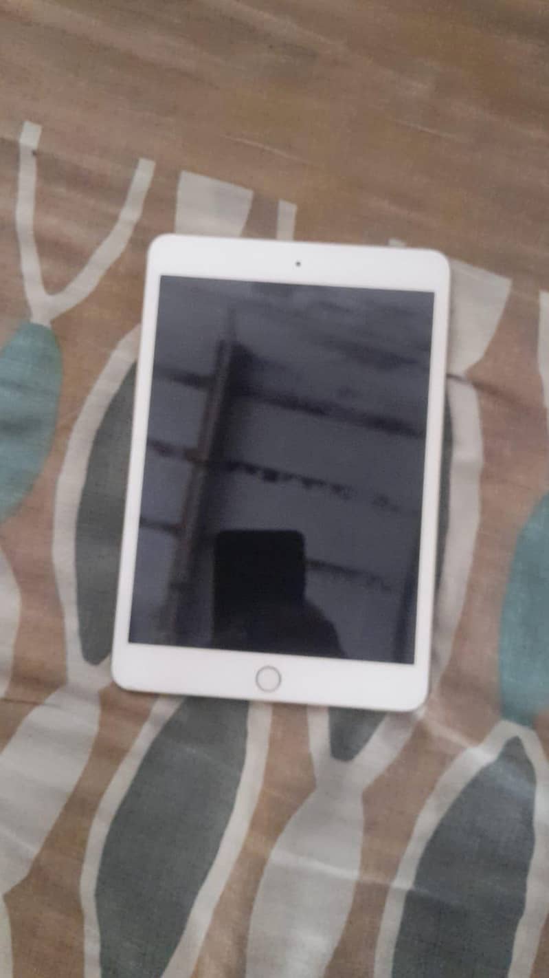 ipad mini 3 1