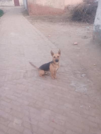 Want to sell urgently