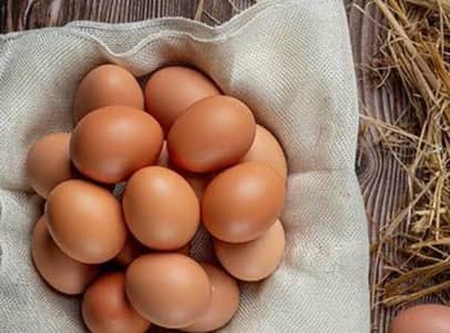 Desi Fertile Eggs