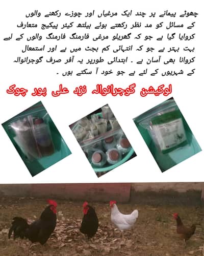 Hens And chicks Medicine ۔ health care package 03441403150