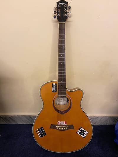Professional acoustic guitar