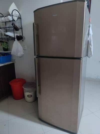 Hier full size fridge