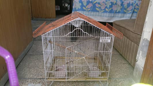 love birds cage