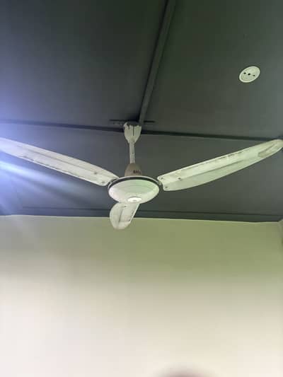 5 fan for sale