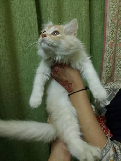 Serious People Mujhse Contact Karen