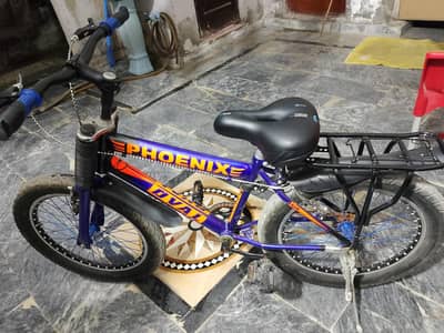 fhonix bicycle. condition 10/10.