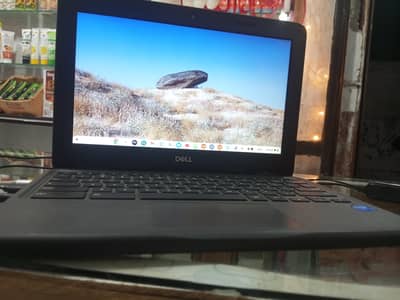 Dell Chromebook 3100