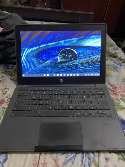 HP Chromebook 4/32